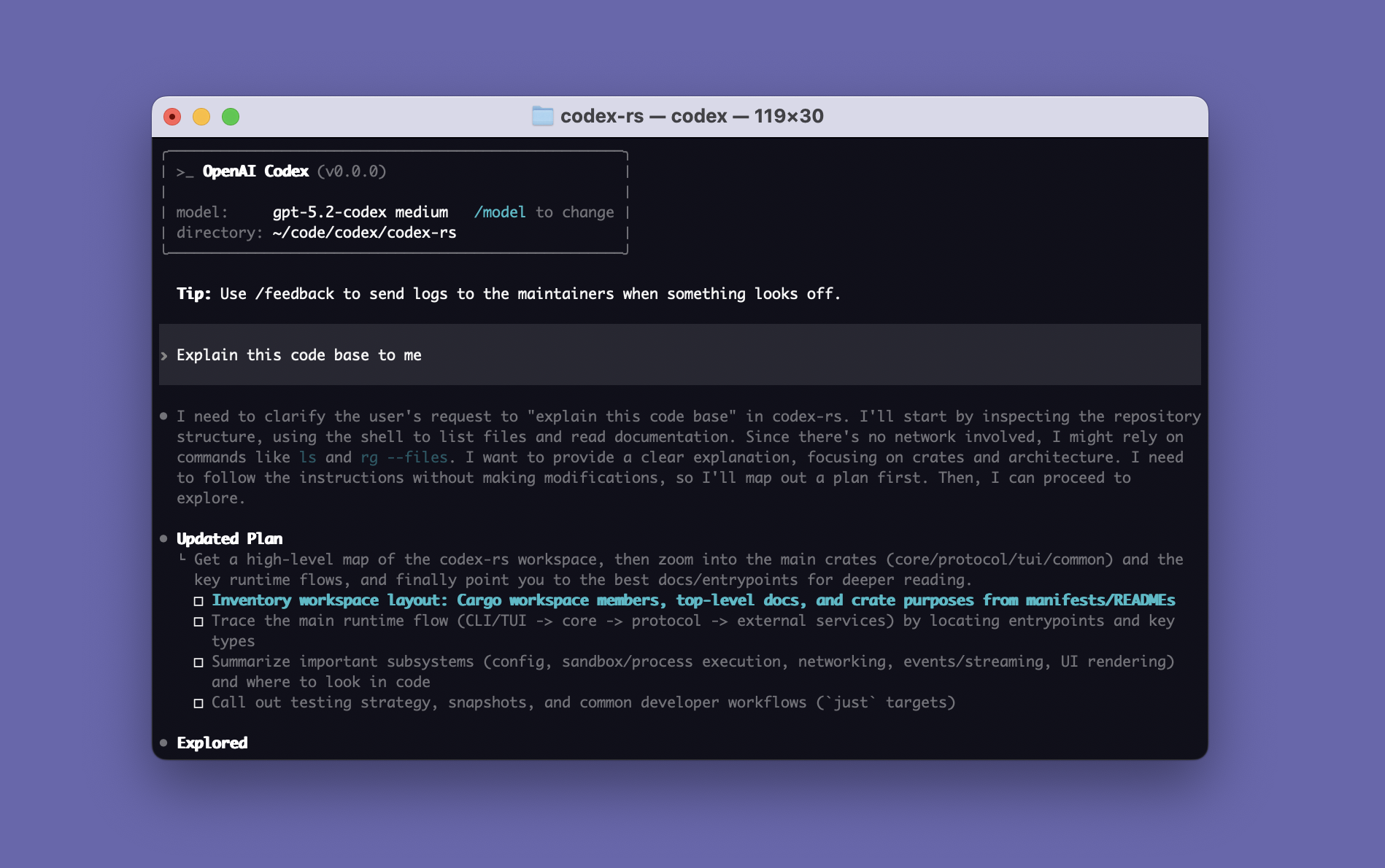 Codex CLI 启动界面