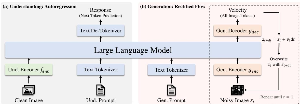 JanusFlow 架构：左侧理解通路使用自回归 next-token prediction，右侧生成通路使用 Rectified Flow 迭代更新 latent 表示